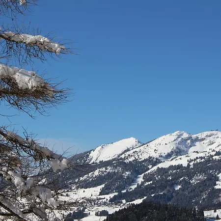 Les Frenes Apartment Leysin Exterior photo