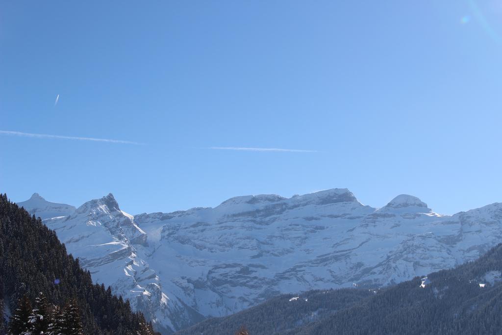 Les Frenes Apartment Leysin