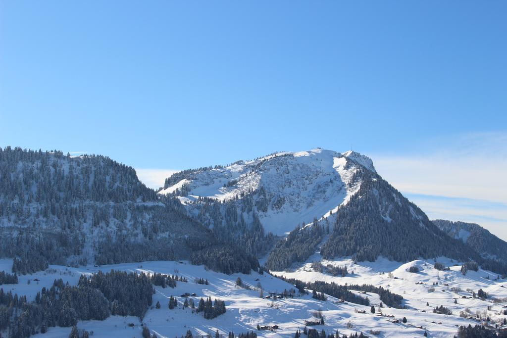 Les Frenes Leysin